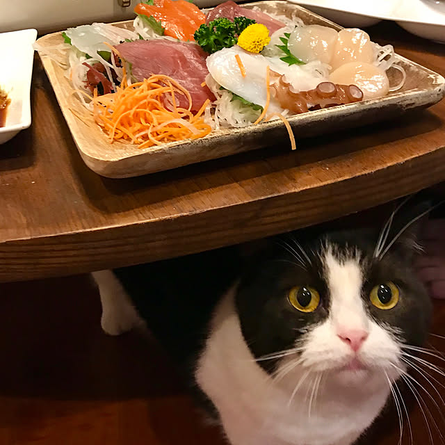 butachanさんの実例写真