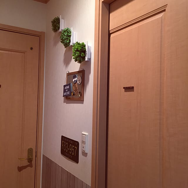 kotaさんの実例写真