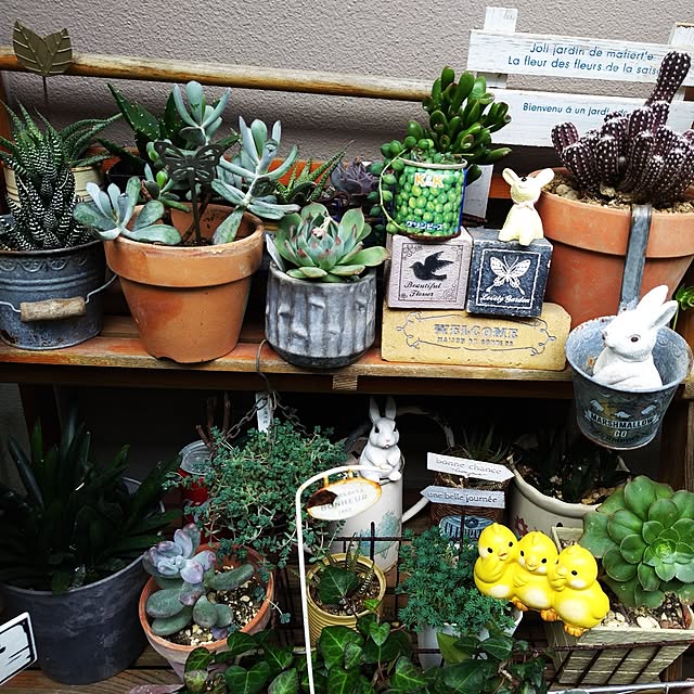 katさんの実例写真