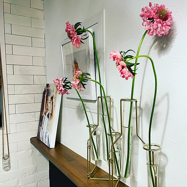 花のある暮らし/カフェ風/カウンターキッチン/観葉植物/緑化計画進行中...などのインテリア実例 - 2021-11-19 19:31:06