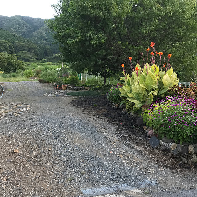 pepeさんの実例写真