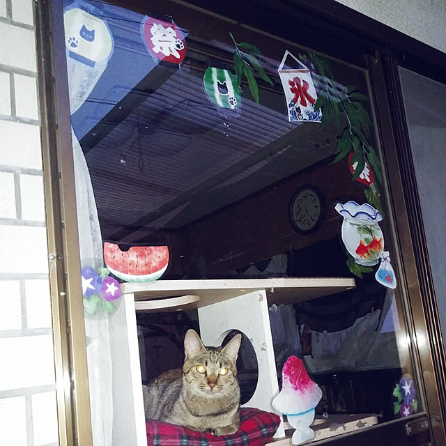 tantomeenさんの実例写真