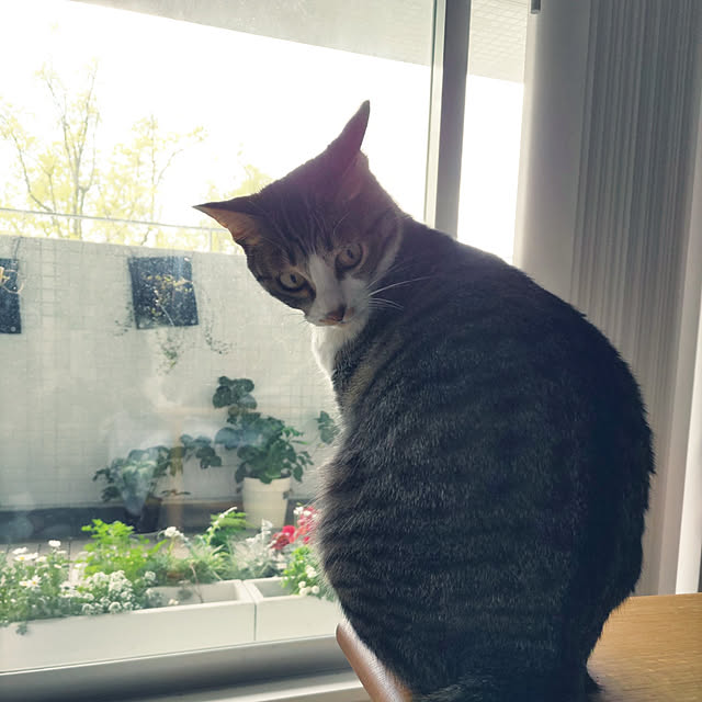 hanacocoさんの実例写真