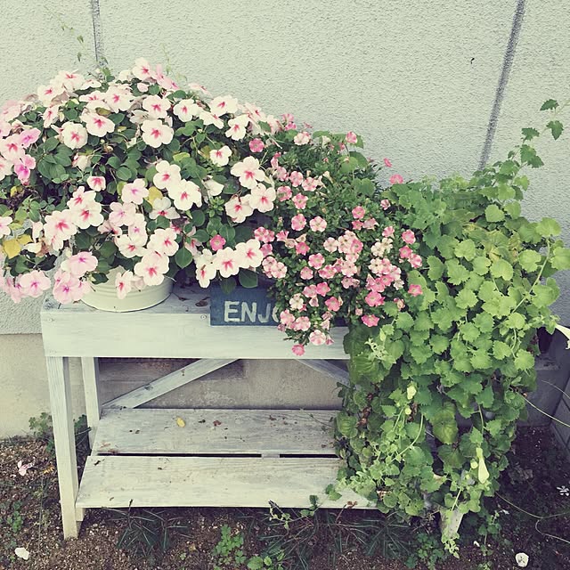 yu_kiさんの実例写真