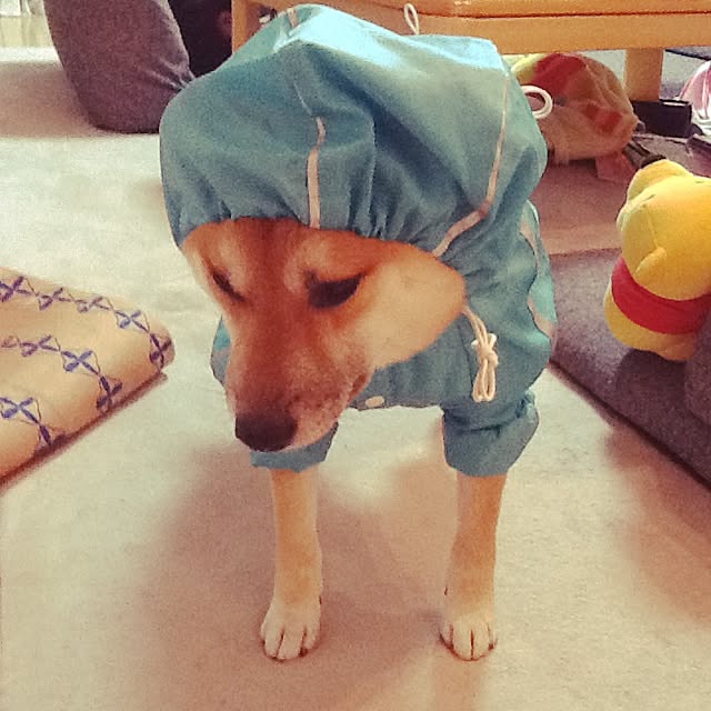 kotaさんの実例写真