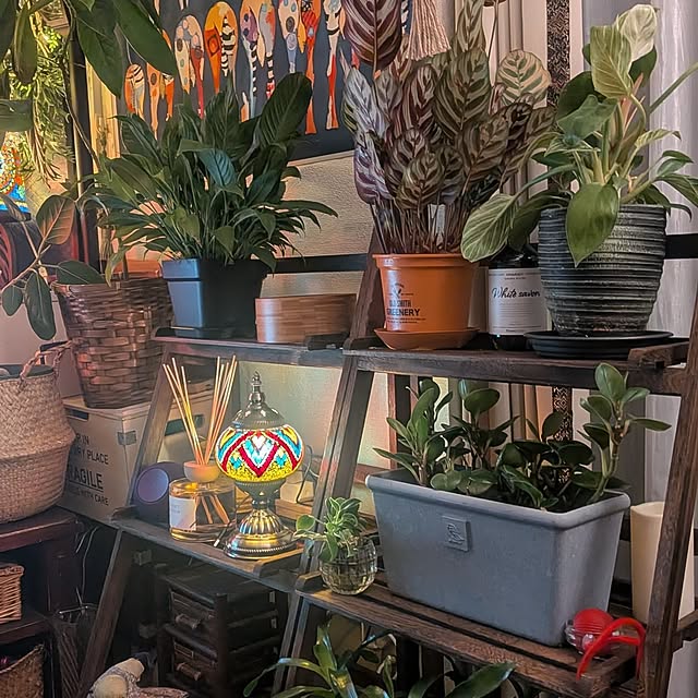 Michikoさんの部屋