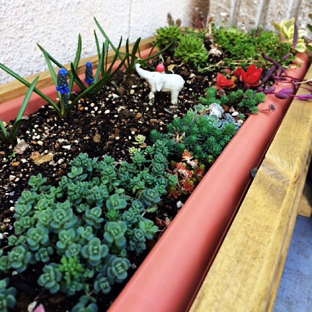 tudukiさんの実例写真