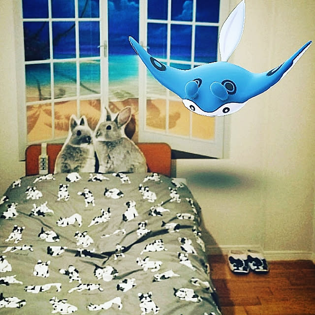 hidemomさんの実例写真
