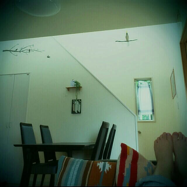 部屋全体/ダイニング側のインテリア実例 - 2014-05-29 14:54:23