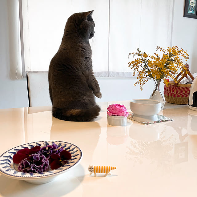 toyoさんの実例写真
