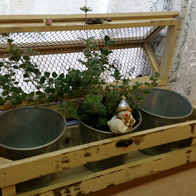 hitomiさんの実例写真