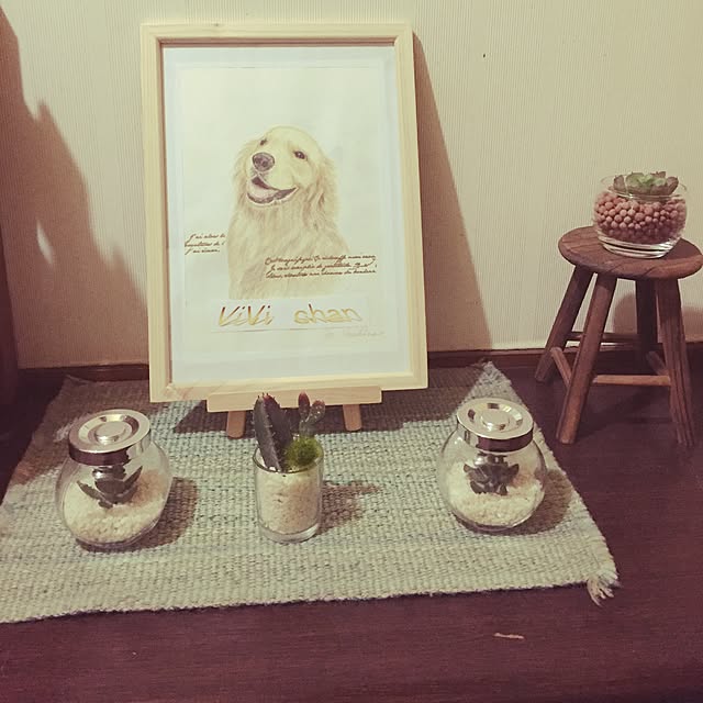 novicoさんの実例写真