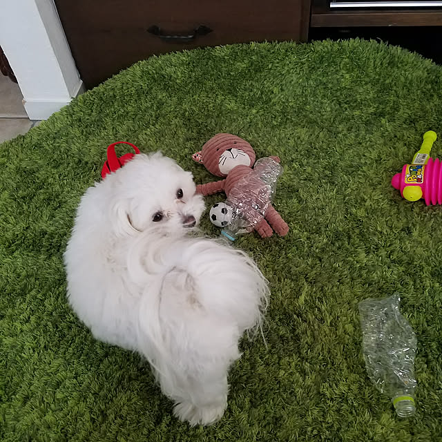 sogareさんの実例写真