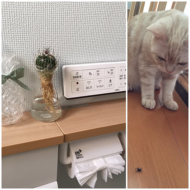 sirasu.nさんの実例写真
