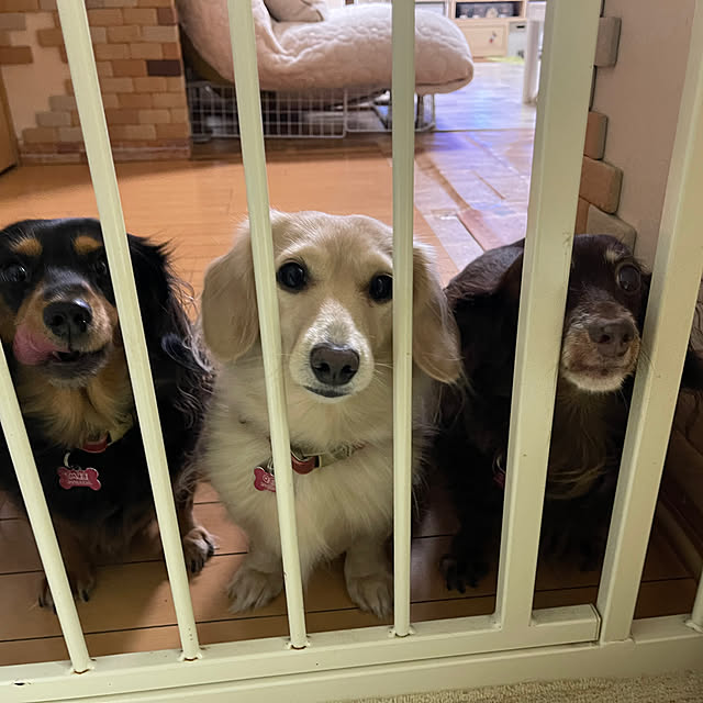 Luckyさんの実例写真