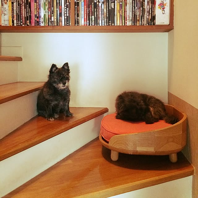 Thammaratさんの実例写真