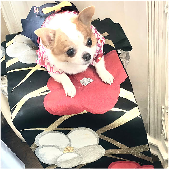 cocoさんの部屋