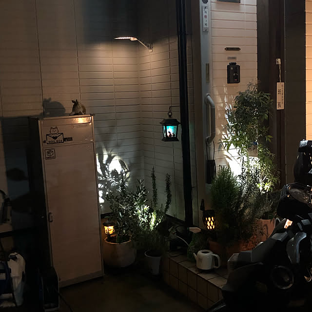 実例写真
