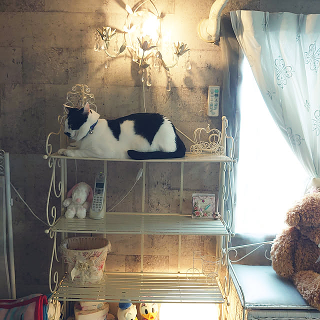 asuminさんの実例写真