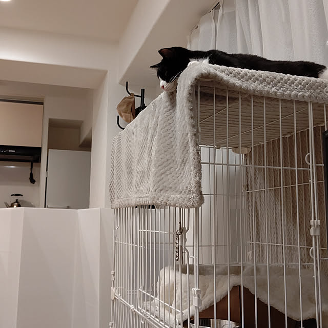 hihaさんの実例写真