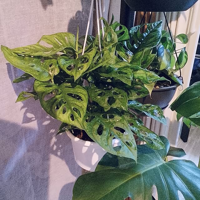 runaさんの実例写真