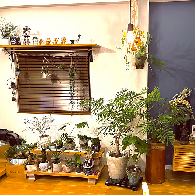 kitakitawanさんの部屋