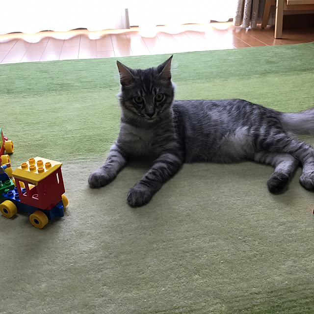 manak5296さんの実例写真
