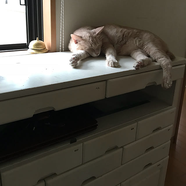 mikan161さんの実例写真
