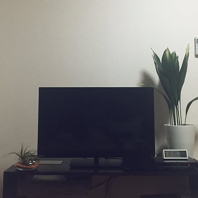 リビング/DIY/観葉植物のインテリア実例 - 2015-07-01 20:35:58