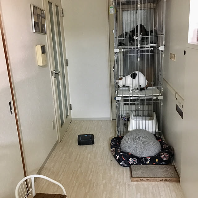 ichi.さんの実例写真