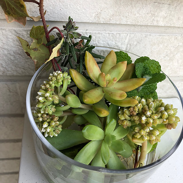 azureさんの実例写真