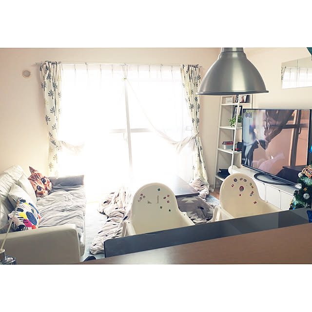 guricoさんの実例写真