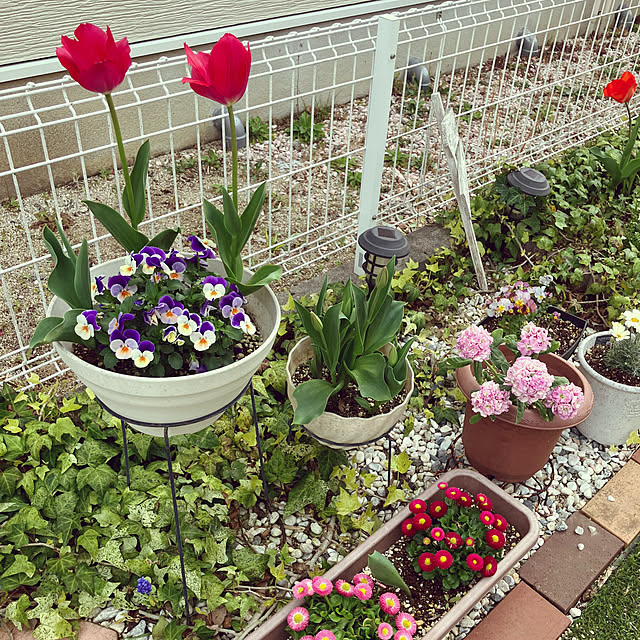 Rikimaさんの実例写真