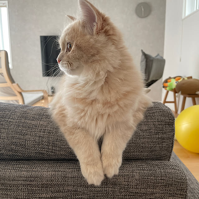 kさんの実例写真