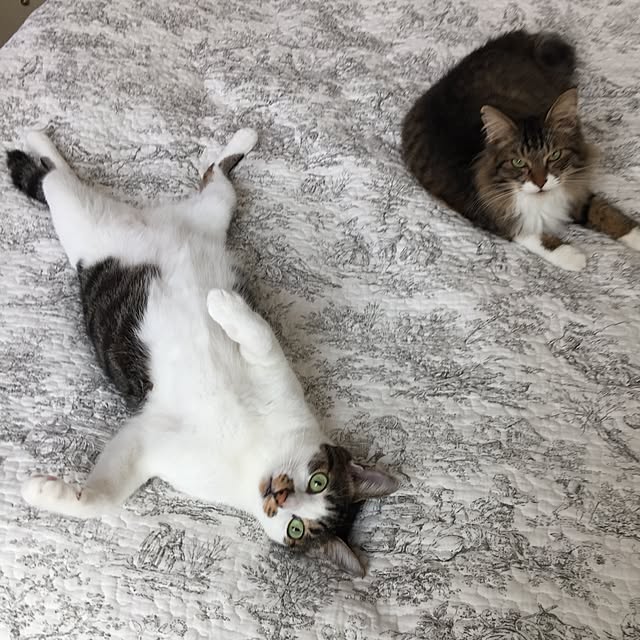 yuchiさんの実例写真