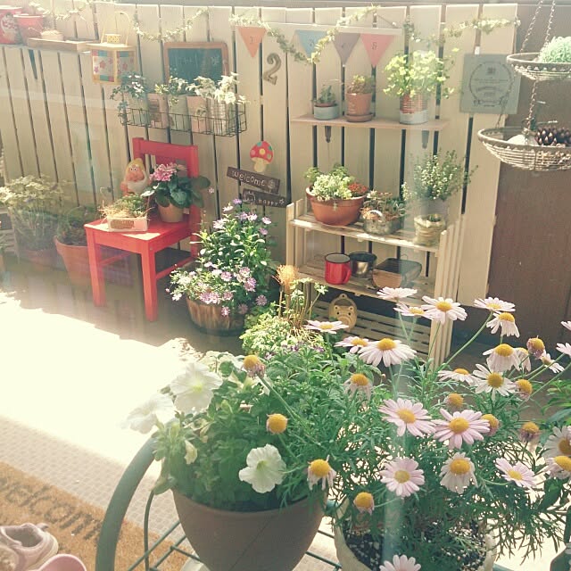 ayu_unsourireさんの実例写真