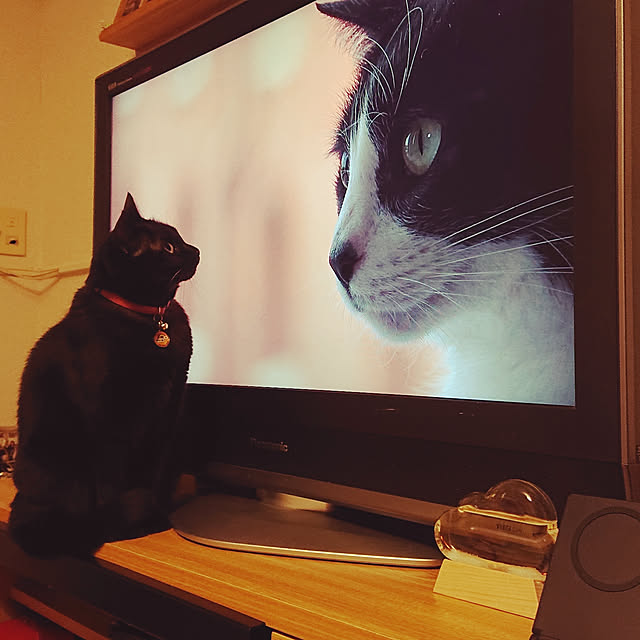 yukakuroさんの実例写真