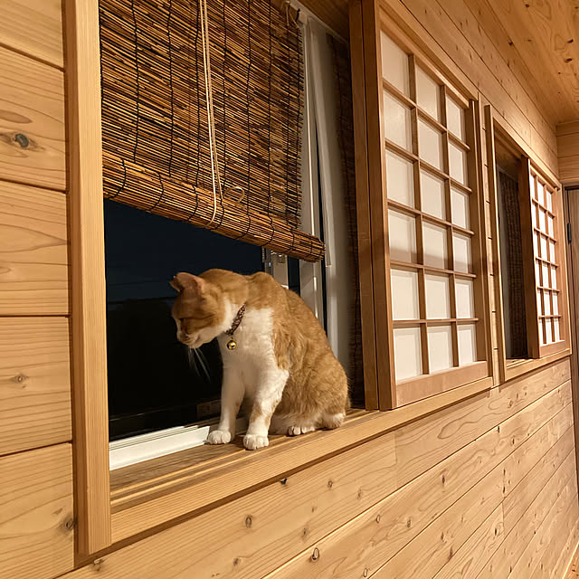 mkmkmoominさんの部屋