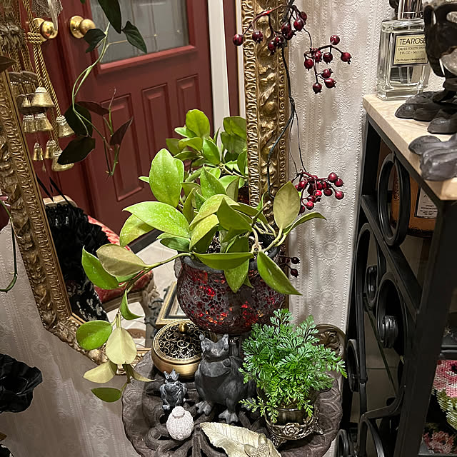 AYUKOさんの部屋