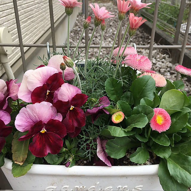 colorfulさんの実例写真