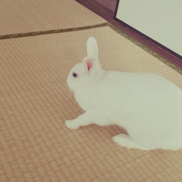 emiさんの実例写真
