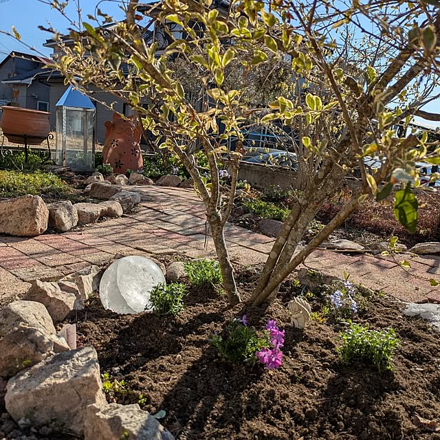 kikufujiさんの部屋