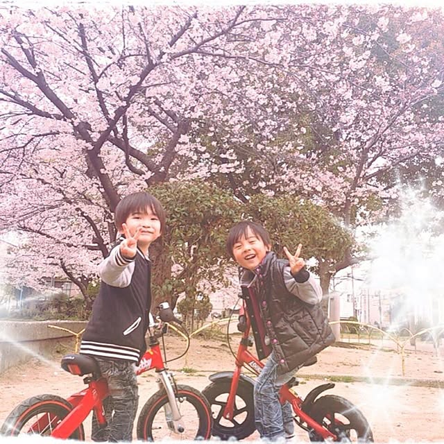 Yuiriさんの実例写真