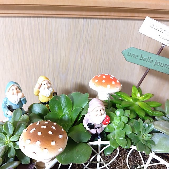 katさんの部屋