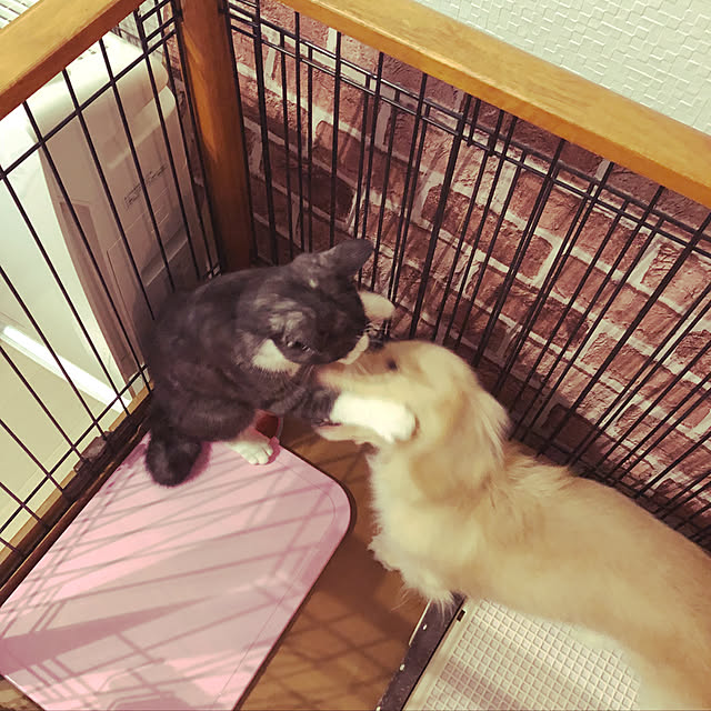 NEREさんの実例写真
