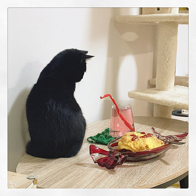 Asakiさんの実例写真