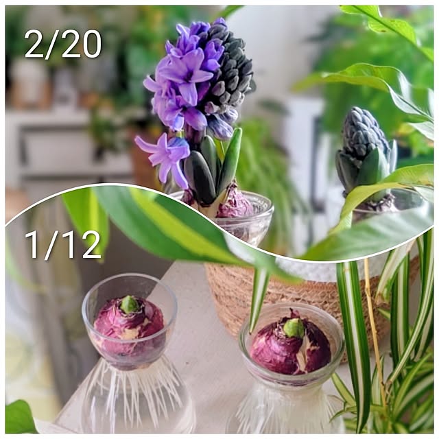 YuriYuriさんの部屋