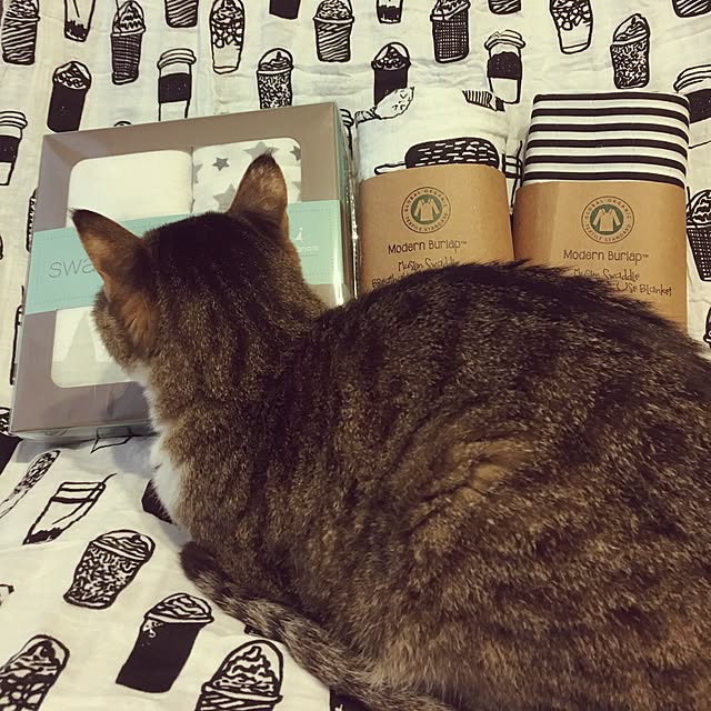 mimooさんの実例写真