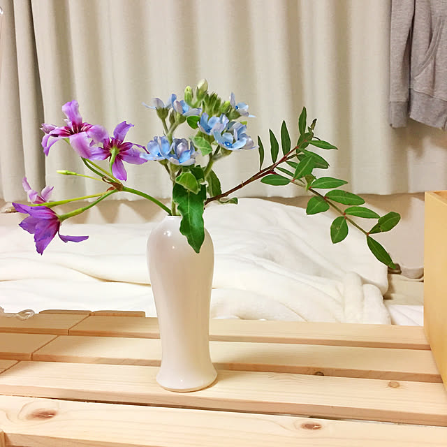 luciさんの実例写真