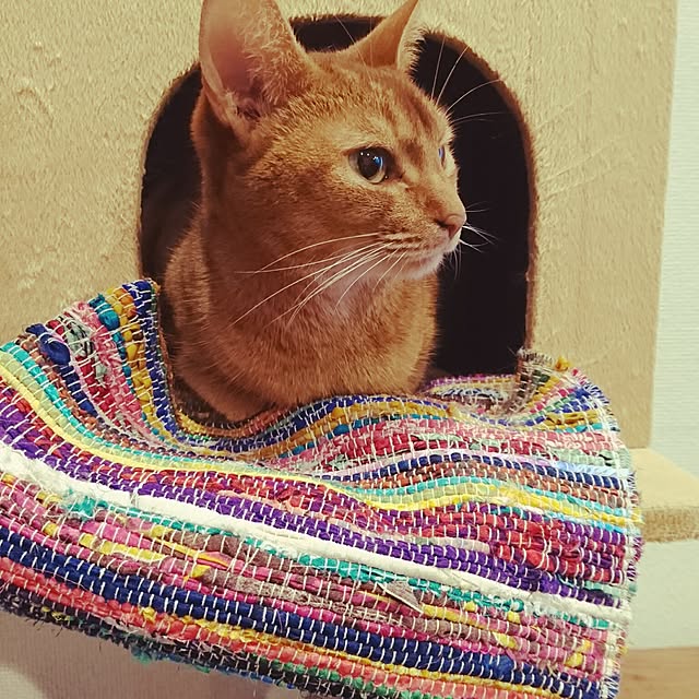 Mitsuruさんの実例写真